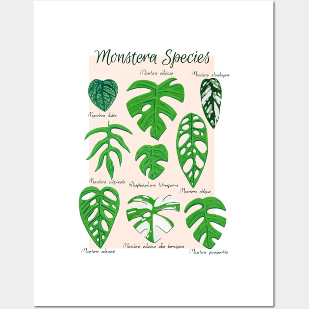 Monstera Species in Gouache- Coral Wall Art by paintedpansy